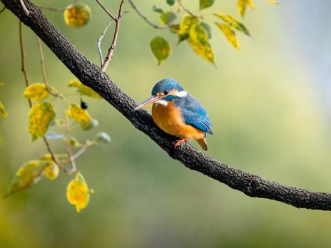 Neues Lorzi Nr. 205 I Februar 2024, online