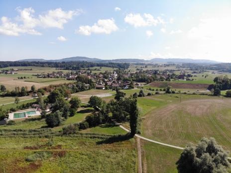 Lorzengezwitscher Nr. 220 I August 2026 online