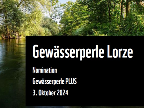 Die Lorze erhält Auszeichnung als &quot;Gewässerperle&quot;