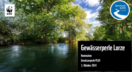 Die Lorze erhält Auszeichnung als "Gewässerperle"