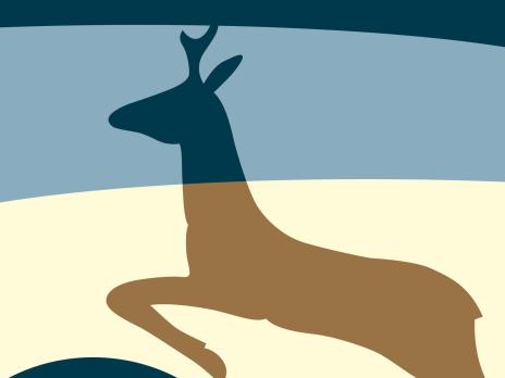 Wildunfall - was tun?