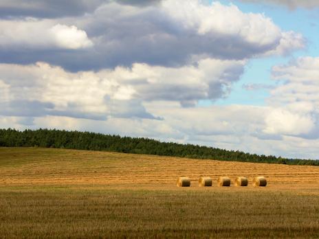 Neues Lorzi Nr. 208 I August 2024 online